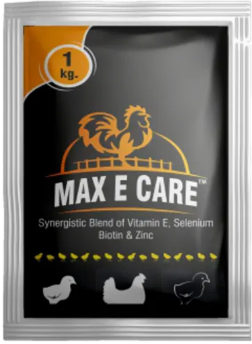 Max E Care